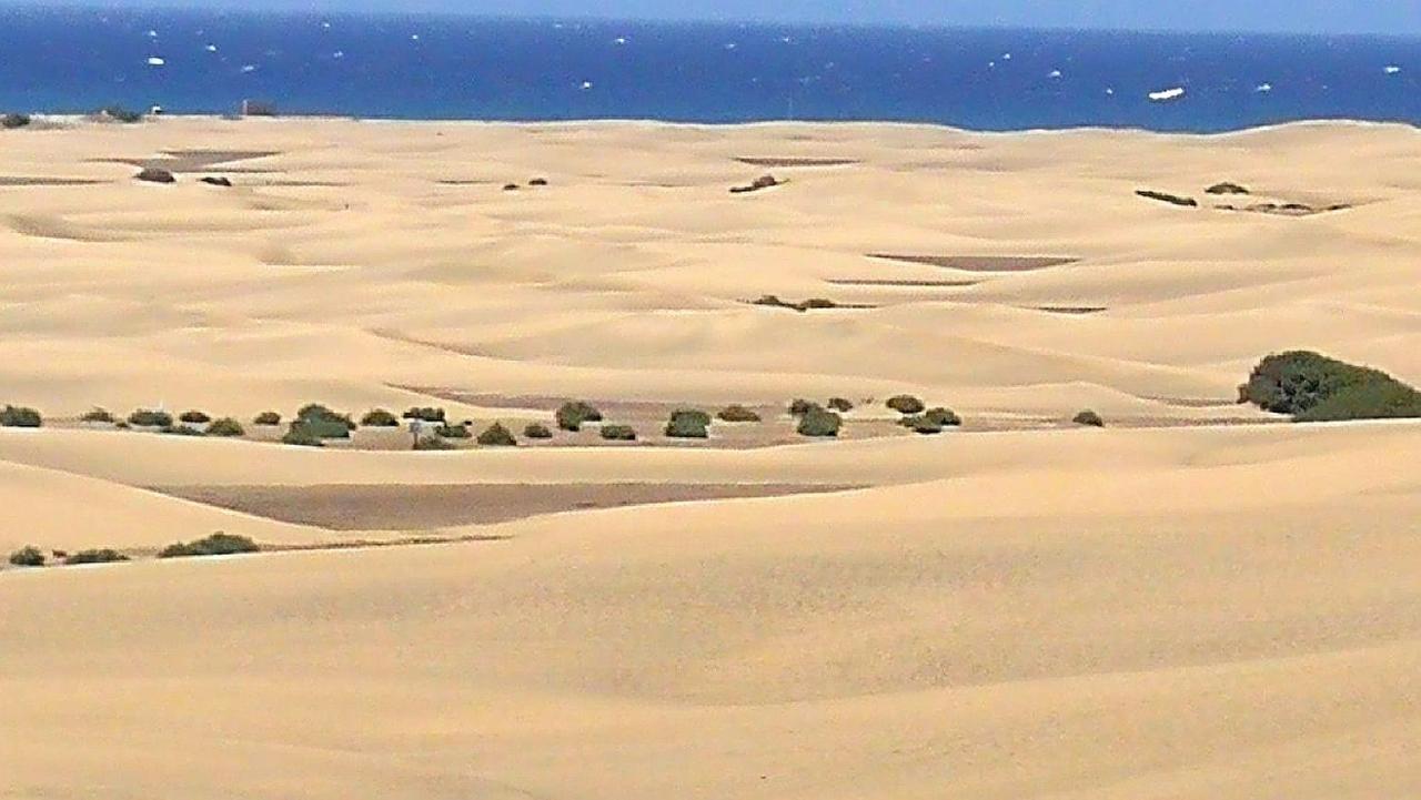 Appartamento Top1 Green Sea Bungalow Jardin Maspalomas  Esterno foto